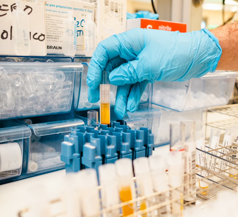 Balanç de recerca 2025 de la FHES: creixement en estudis, publicacions i difusió científica