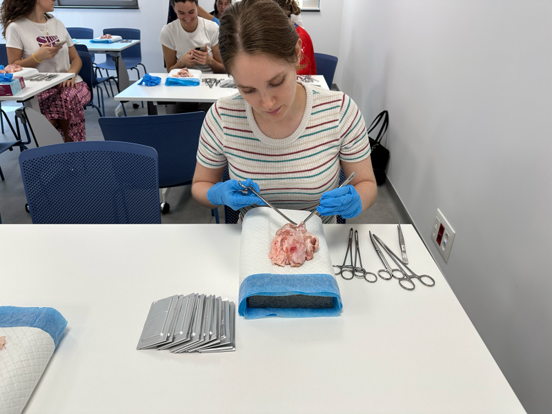 La Fundació Hospital de l'Esperit Sant acull una jornada de formació pràctica per a residents de Ginecologia i Obstetrícia